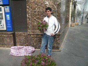 Fragrant steetcorners