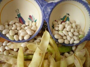 Shelled cocos with their pods